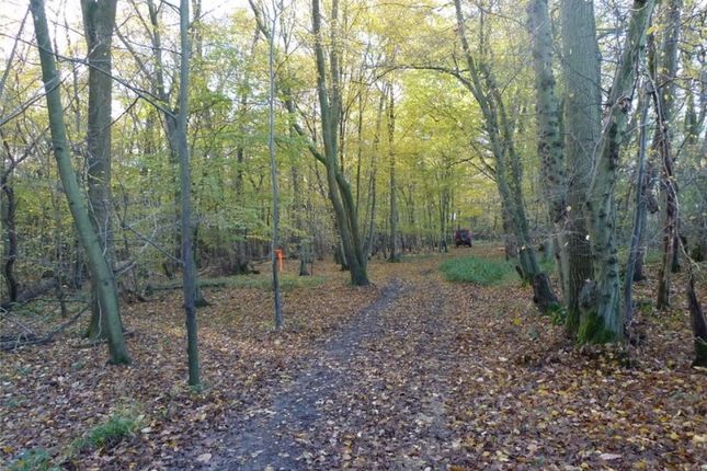 Studio, in Charlwood, £8,000