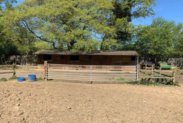 Studio, in Land North Side, £650,000