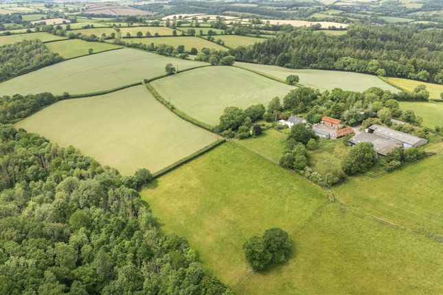 Land, in Sandford, £295,000