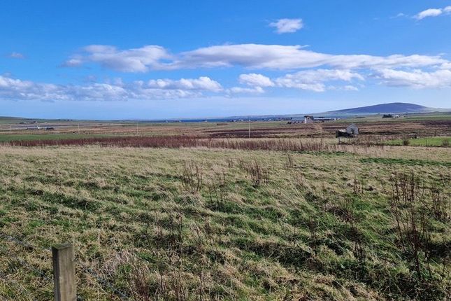 Land, in 7 Building Sites Near Brookfield, £199,000