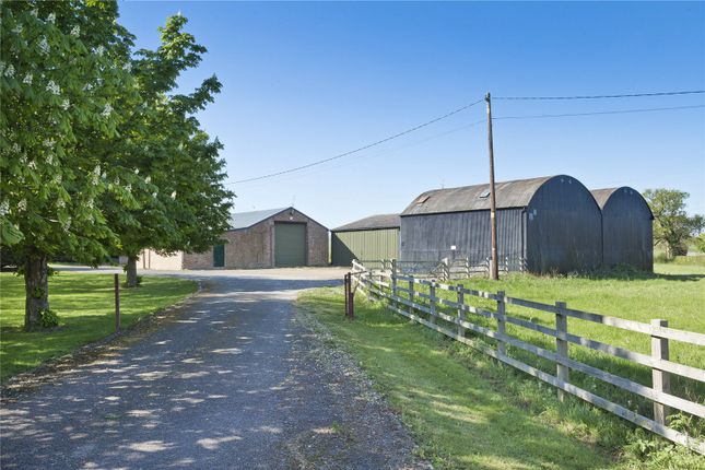 Studio, in Lot 4 | Lodge Farm Development, £500,000