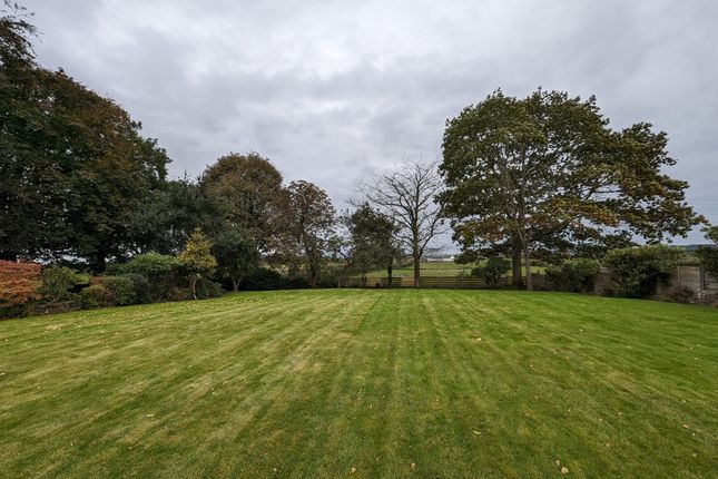 Studio, in Building Plot Adjacent To The Neuk, £100,000