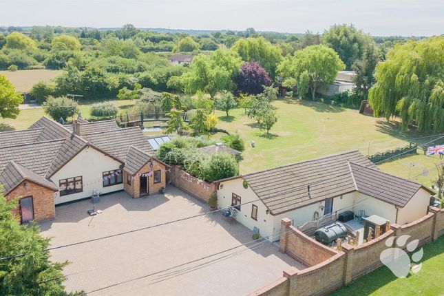 7 bed property, in Lower Park Road, £1,200,000