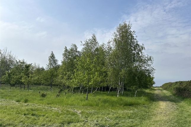 Land, in Wetmoor Lane, £40,000