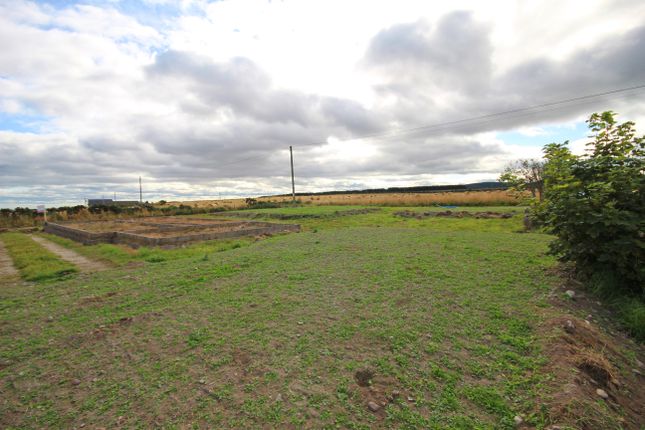 Studio, in Plot At Little Hillhead, £170,000