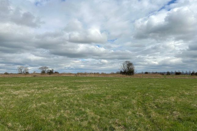 Land, in Lyng, £50,000