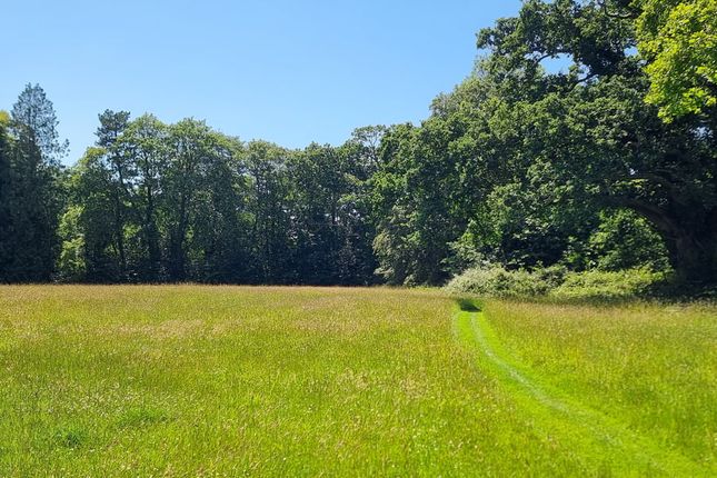 Land, in Brookley Road, £2,400,000