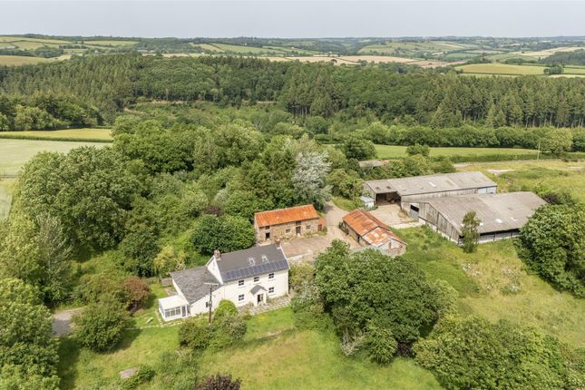 7 bed property, in Sandford, £1,795,000