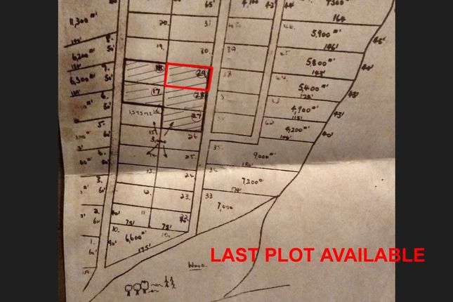 Studio, in Plot 29, £5,000
