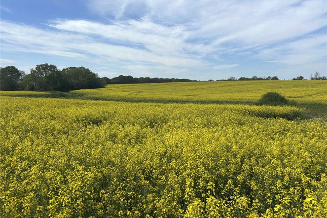 Land, in Ilminster, £580,000