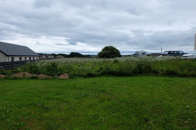 Studio, in Fairview Plot, £30,000