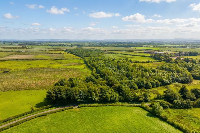 Land, in 0.754 Acre Site At Torranyard, £35,000