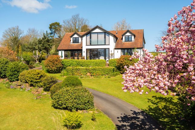 4 bed property, in Knox Park, £1,000,000