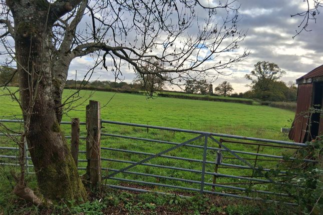 Land, in (Elderslie Farm), £900,000