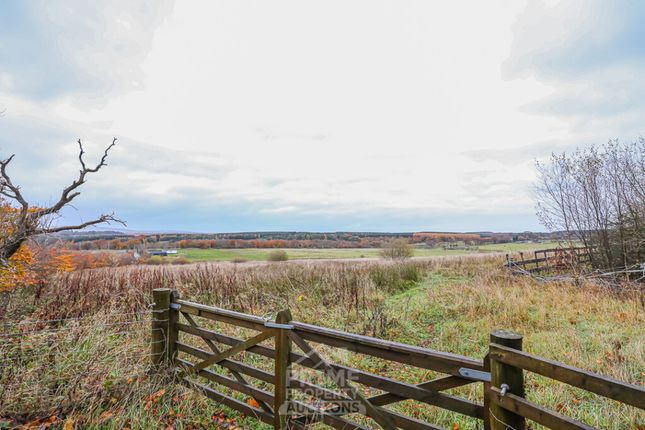 Studio, in Sheilhill Road, £245,000