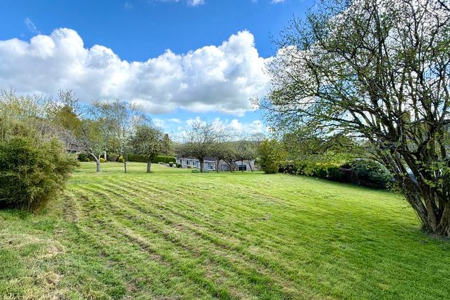 3 bed property, in Holway, £575,000
