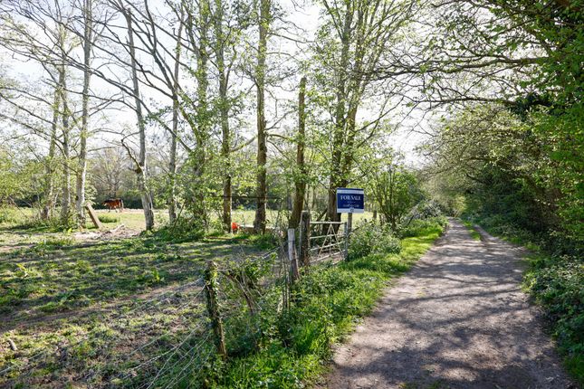 Land, in Green Lane, £25,000