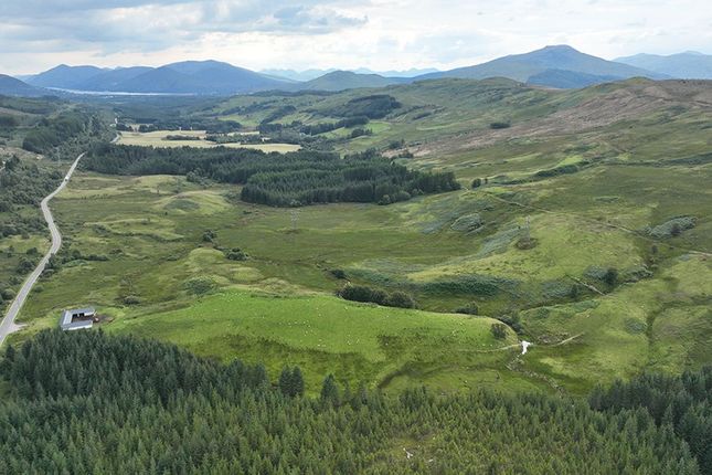 Studio, in Monarch Of Glen, £6,000
