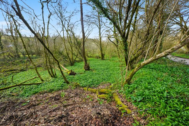 Land, in St. Keyne, £5,000