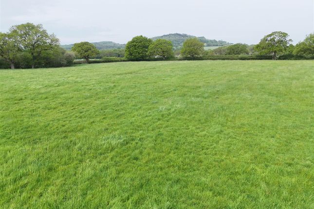 Land, in Cole's Lane, £55,000