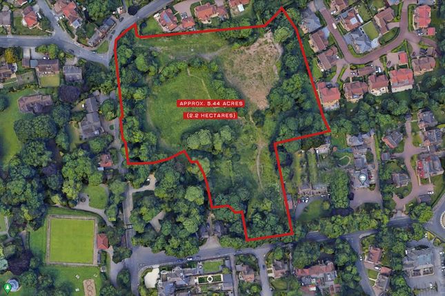 Studio, in The Parade, £2,500,000