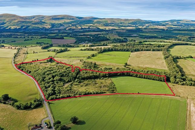 Studio, in Solsgirth, £1,250,000