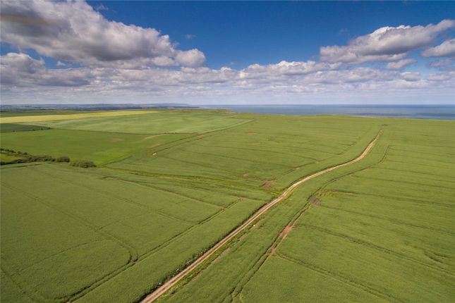 Studio, in Land At Buckton, £2,000,000