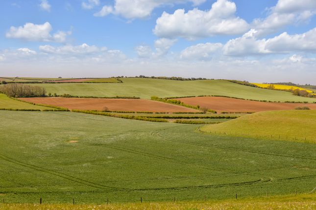 Studio, in Glebe Farm | Lot 1, £4,100,000