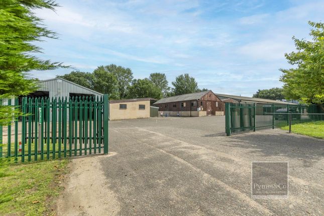 Studio, in Dog Lane, £2,000,000