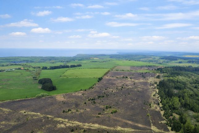 Land, in 108 Acres Staintondale, £325,000