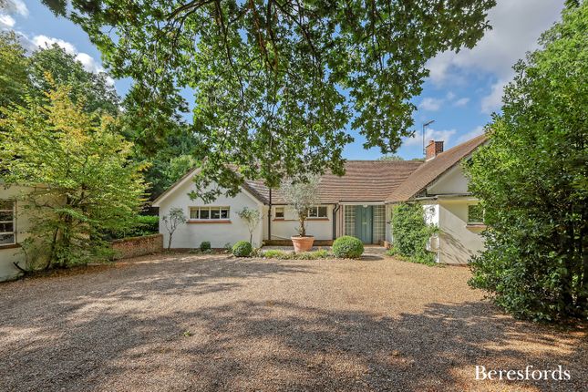 3 bed property, in Colam Lane, £1,150,000