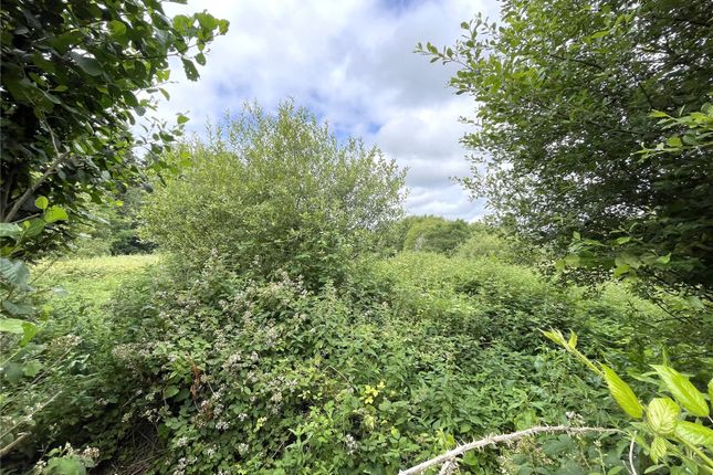 Studio, in Leading From Llanelli To Cross Hands, £60,000
