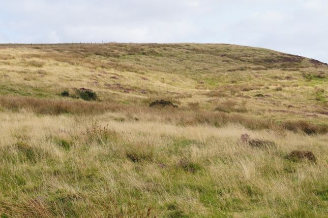 Studio, in Pencarreg, £250,000