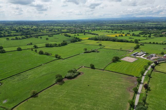 Land, in Land South Of Dog Lane, £800,000