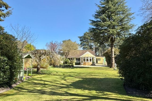 3 bed property, in Cedar Avenue, £725,000