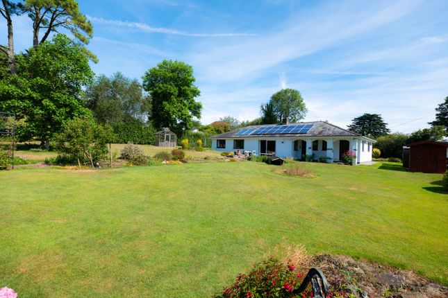 5 bed property, in Rock PL27, £1,250,000
