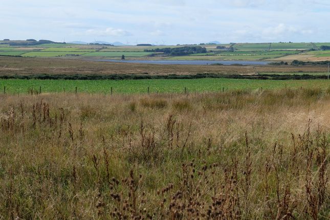 Studio, in Plot, £40,000
