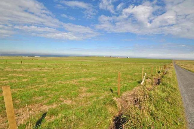 Studio, in Land At Fea Hill, £25,000