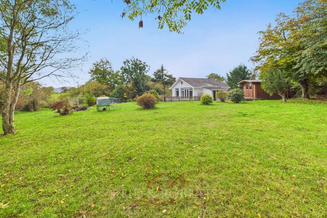 4 bed property, in Lixwm, £460,000