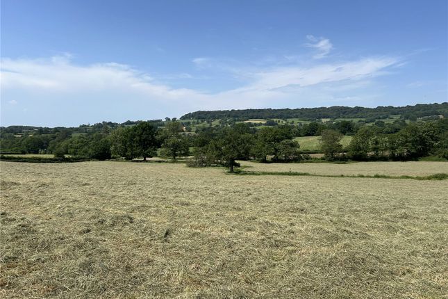 Land, in Awliscombe, £250,000