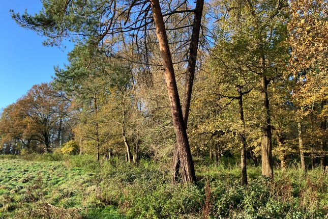 Land, in Dark Lane, £100,000