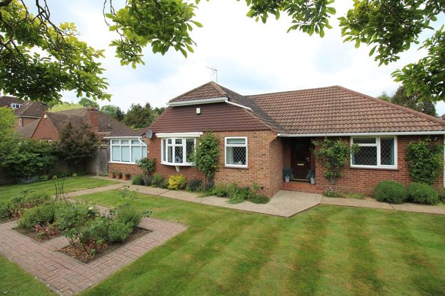 4 bed property, in Hadlow Road, £800,000