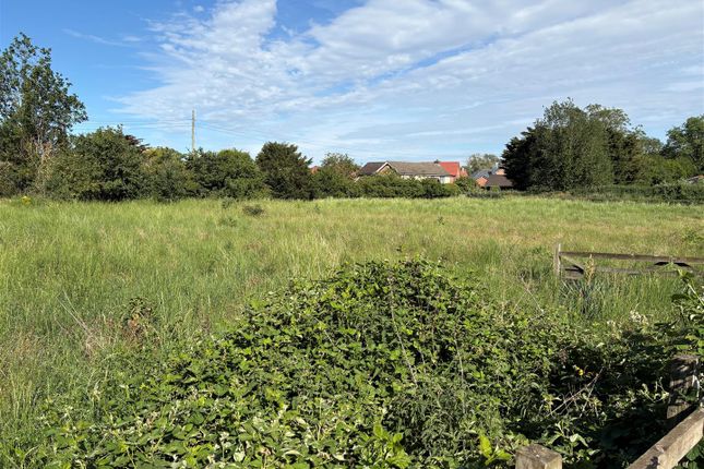Studio, in Two Building Plots, £750,000