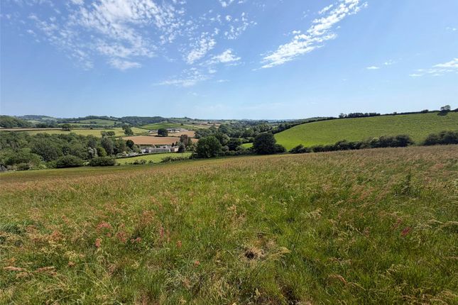 Land, in Beaminster, £70,000