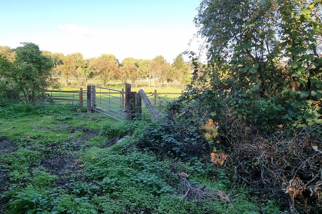 Studio, in Old Rectory Lane Bakers Wood, £25,000