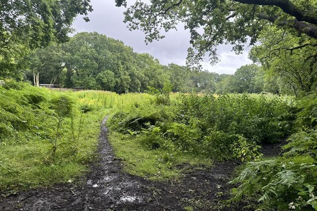 Land, in Priest Lane, £55,000