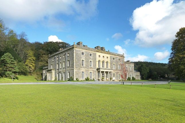 27 bed property, in Rhydyfelin, £4,000,000