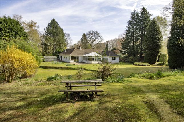 3 bed property, in Ismays Road, £1,600,000