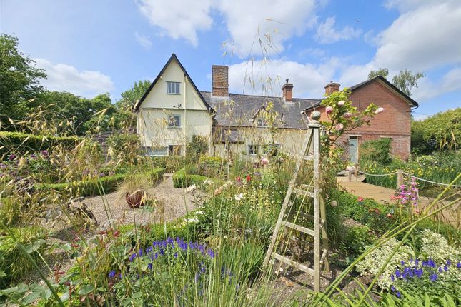 5 bed property, in Ipswich Road, £1,300,000