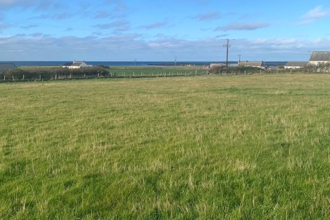 Studio, in Building Site Near Hillfield, £25,000